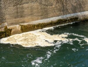 Figure 3: wastewater in a Syndey water treatment plant. 